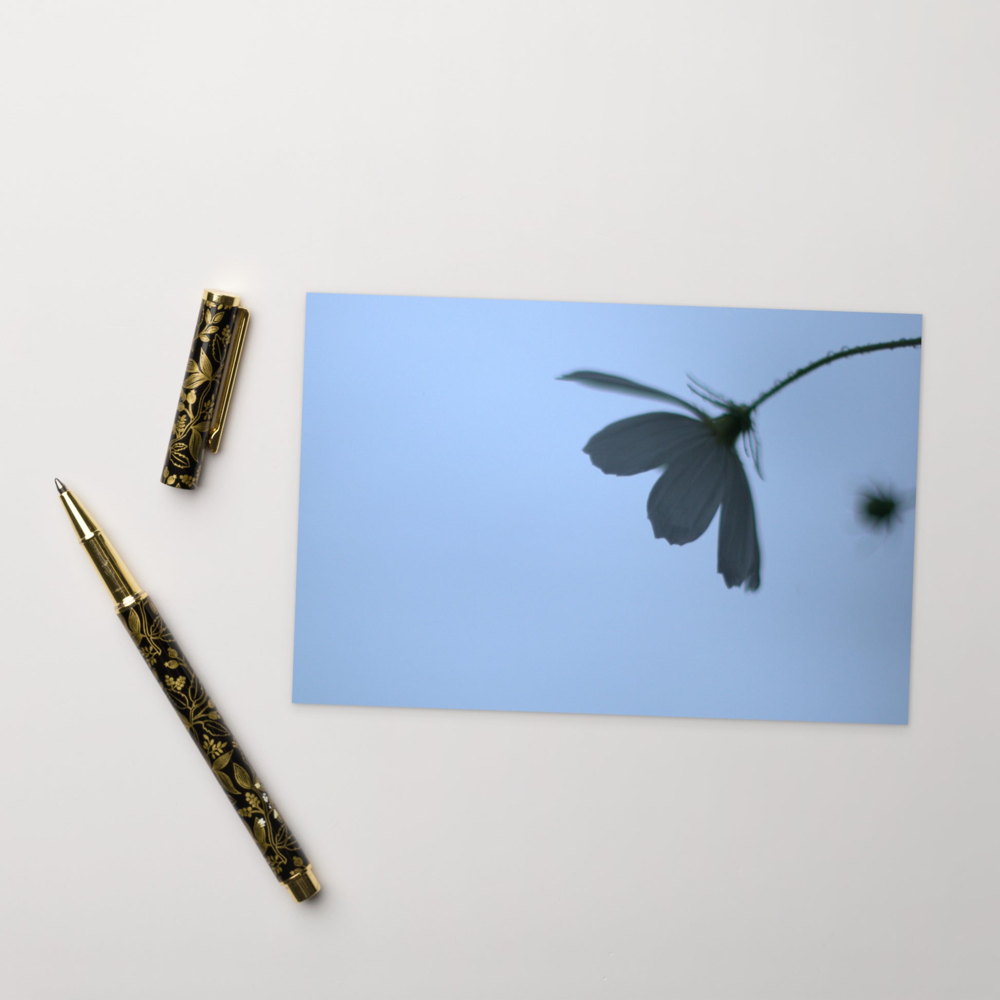 Cosmos Flower Botanical Art – Premium Matte Postcard 4x6, Lifestyle View