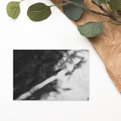 River Surface Botanical B&W Art – Premium Matte Postcard 4x6, Front View