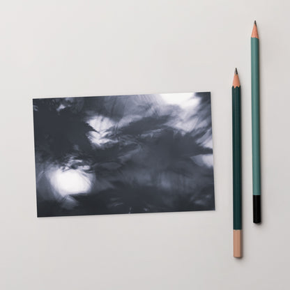 Maple Abstraction Botanical B&W Art – Premium Matte Postcard 4x6, Front View