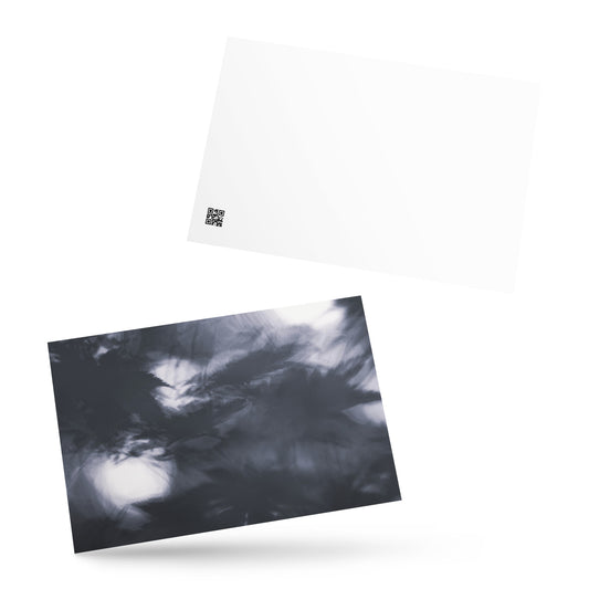 Maple Abstraction Botanical B&W Art – Premium Matte Postcard 4x6, Front View