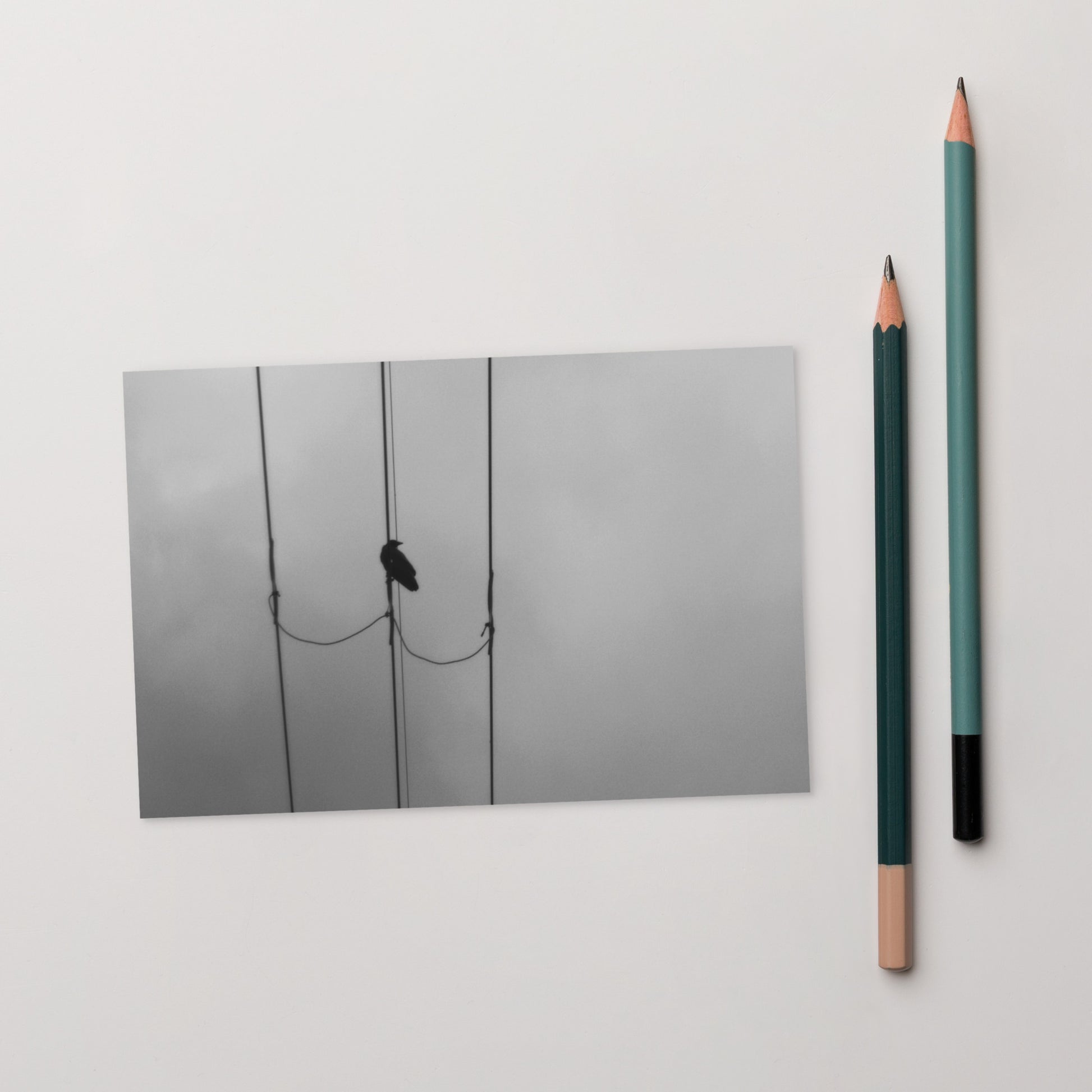 Crow and Power Lines B&W Art – Premium Matte Postcard 4x6, Front View