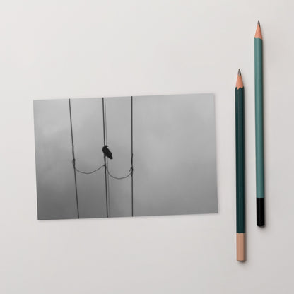 Crow and Power Lines B&W Art – Premium Matte Postcard 4x6, Front View