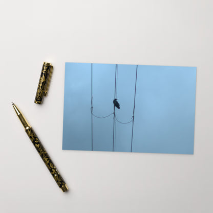 Crow and Power Lines Art – Premium Matte Postcard, Hand-held View