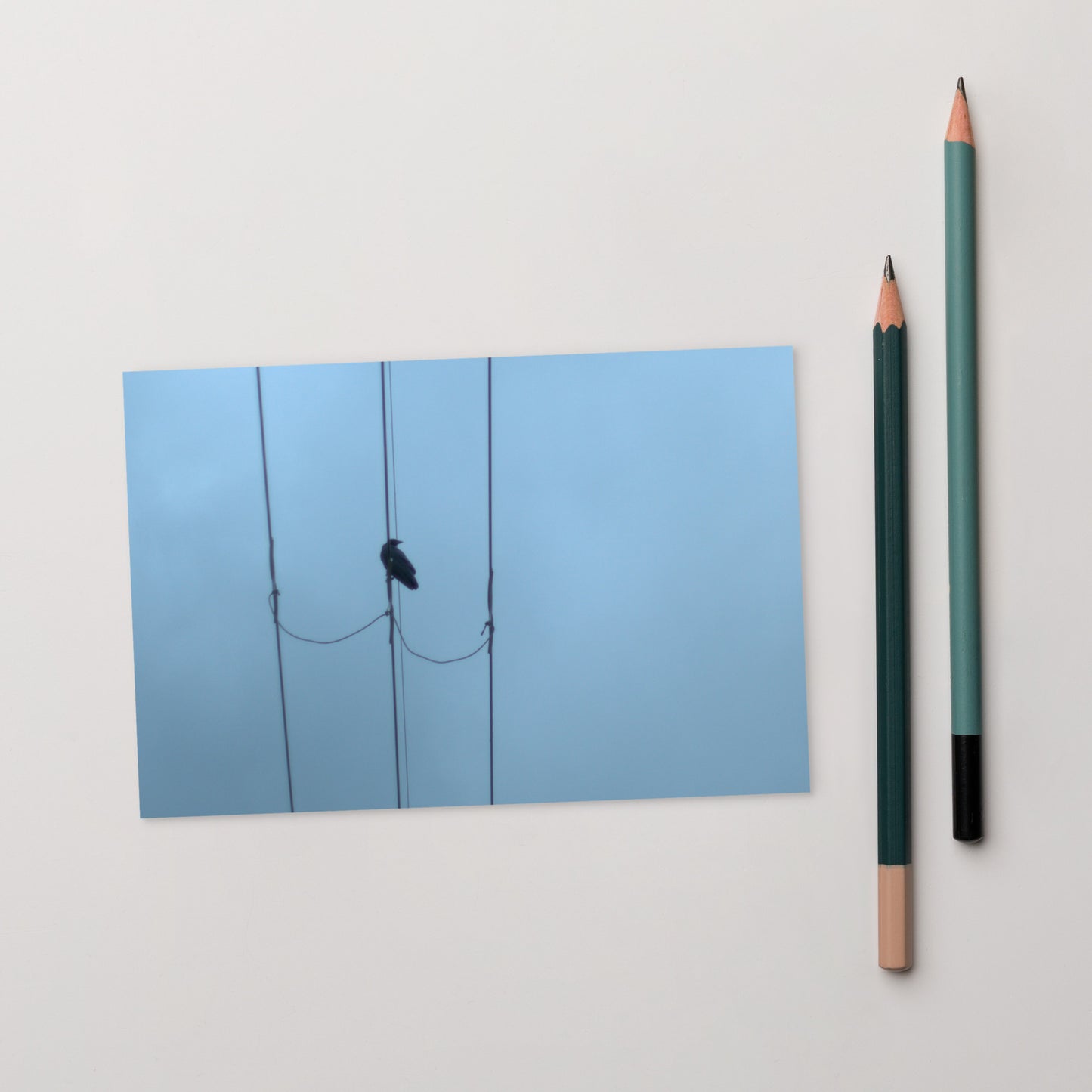 Crow and Power Lines Art – Premium Matte Postcard, Hand-held View