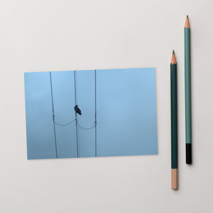 Crow and Power Lines Art – Premium Matte Postcard, Hand-held View