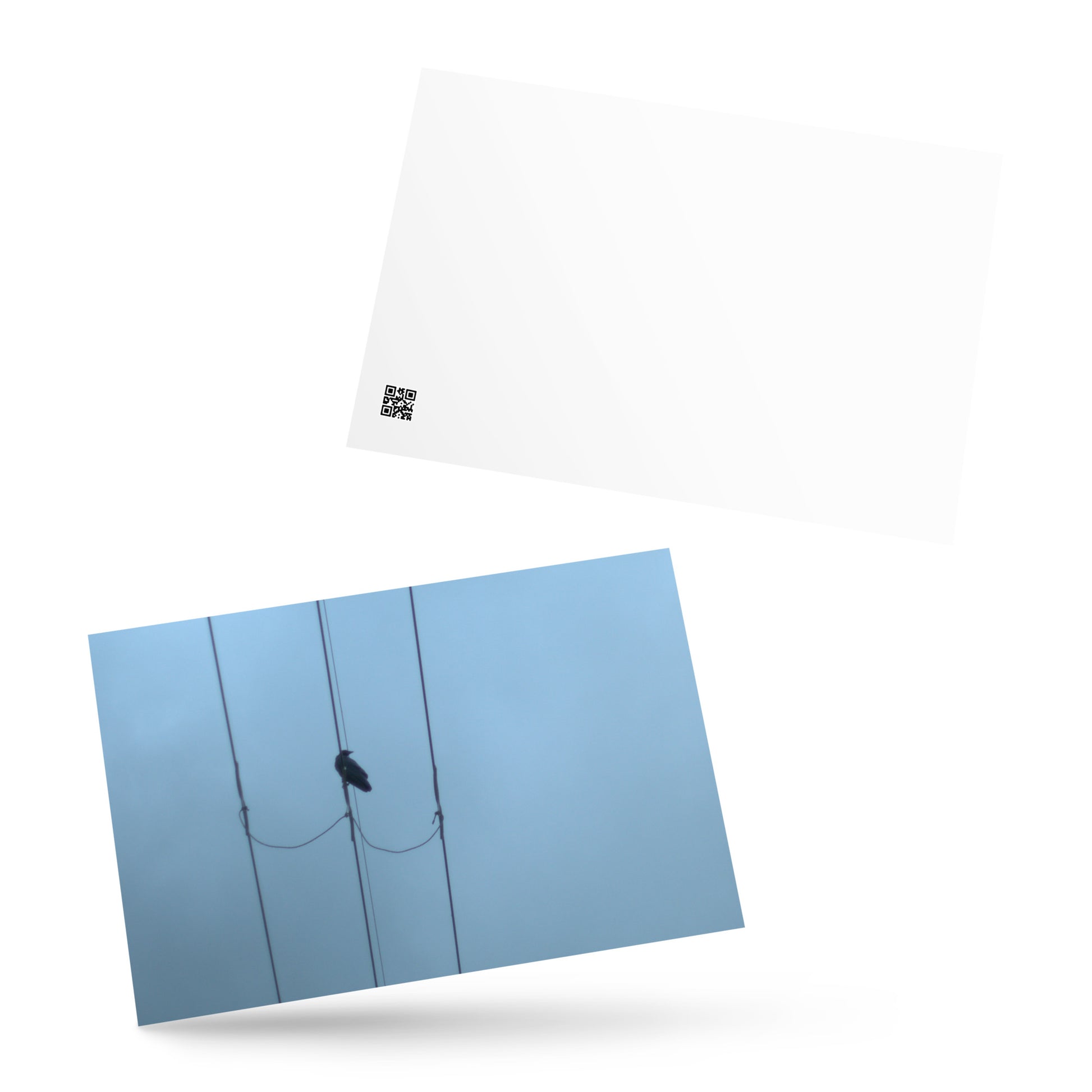 Crow and Power Lines Art – Premium Matte Postcard, Hand-held View