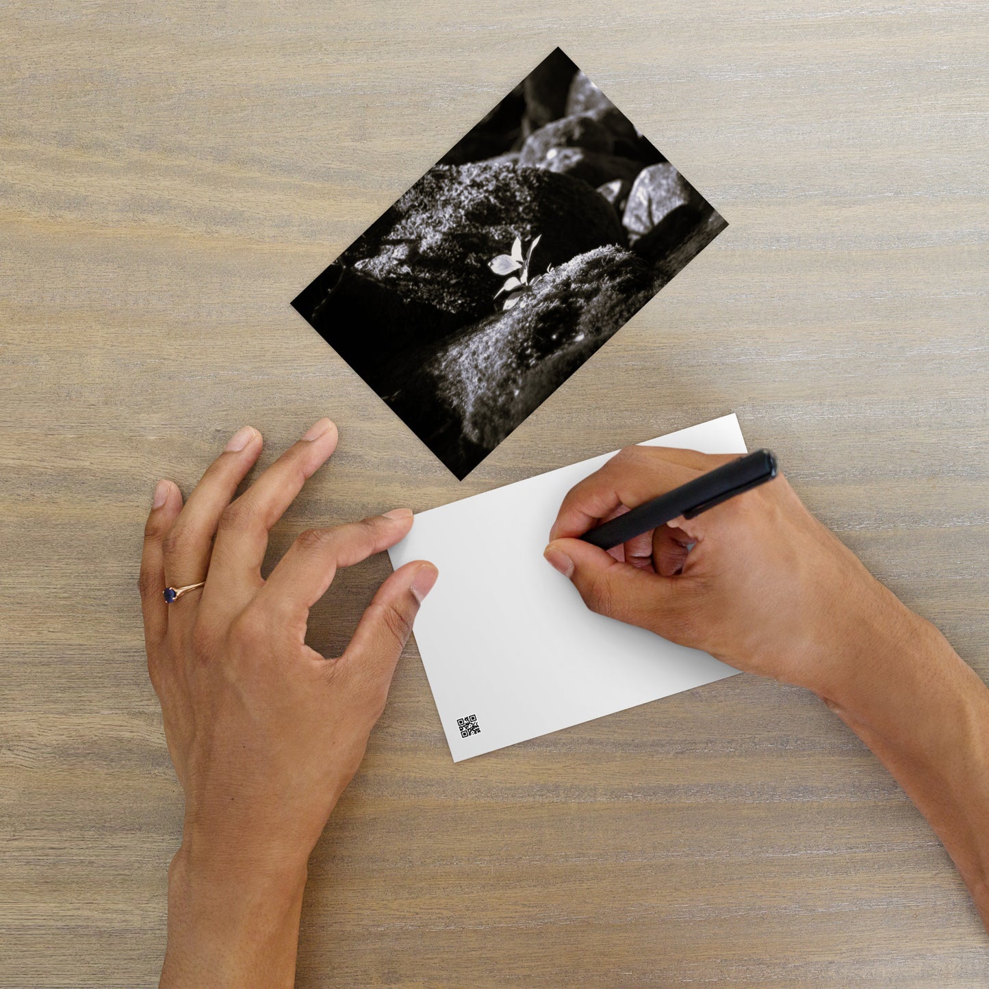 Plant on a Rock (B&W) Art – Premium Matte Postcard, Hand-held View