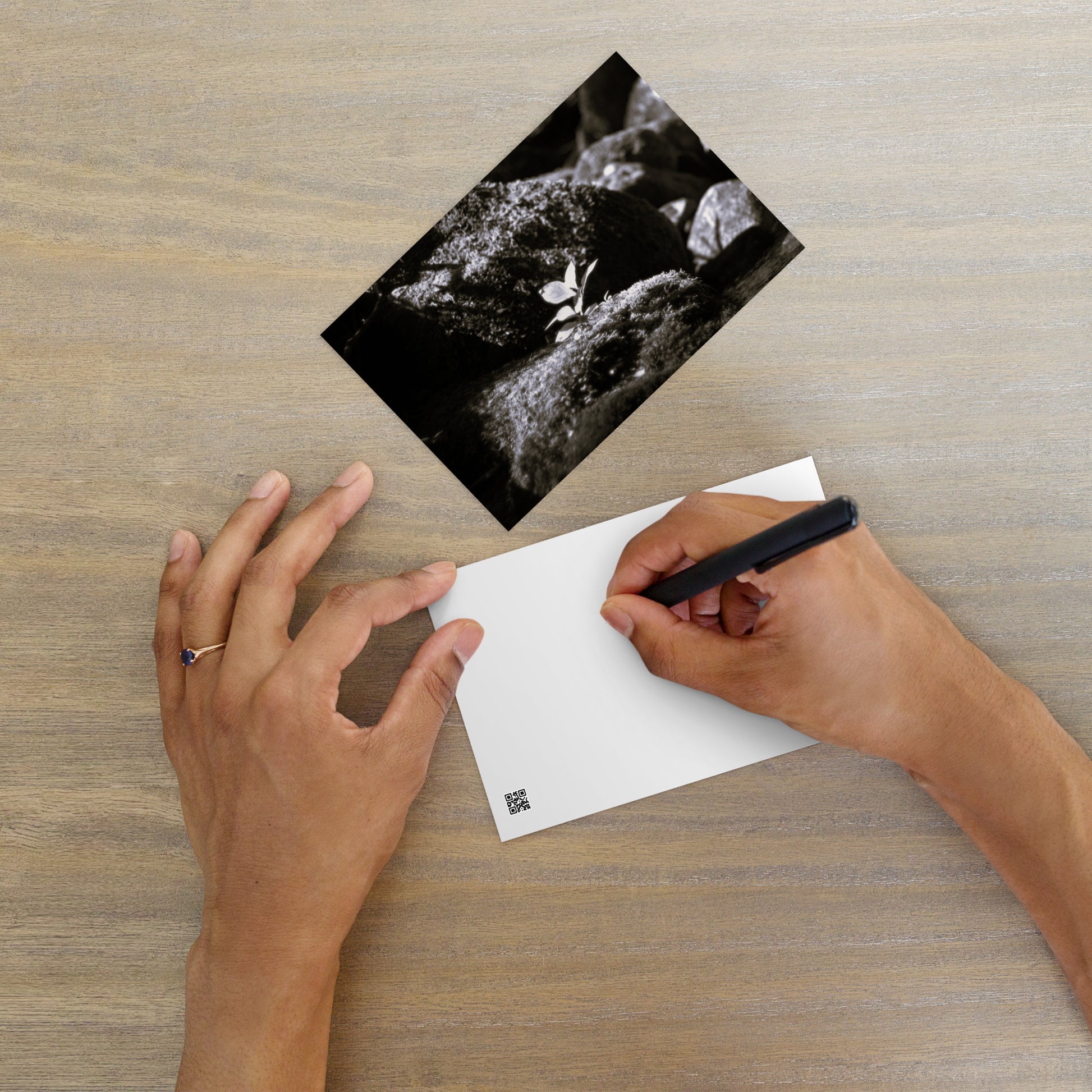 Plant on a Rock (B&W) Art – Premium Matte Postcard, Hand-held View