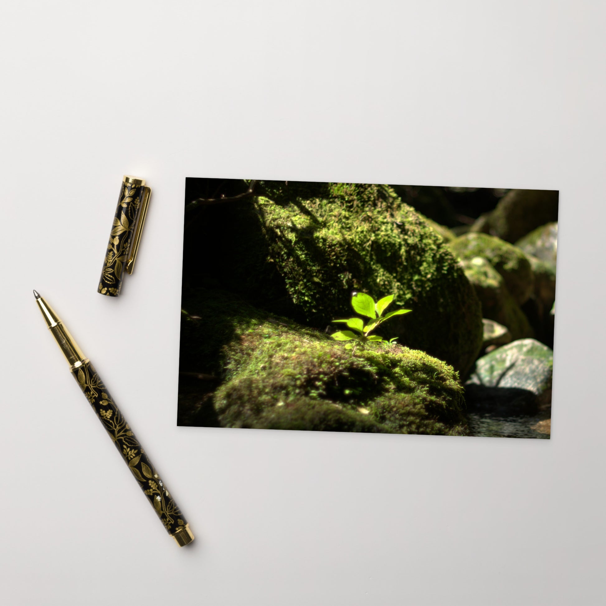 Plant on a Rock Art – Premium Matte Postcard, Front View
