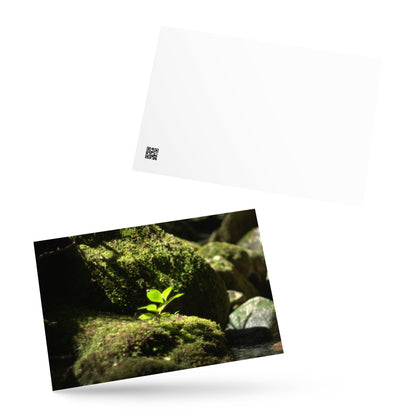 Plant on a Rock Art – Premium Matte Postcard, Front View