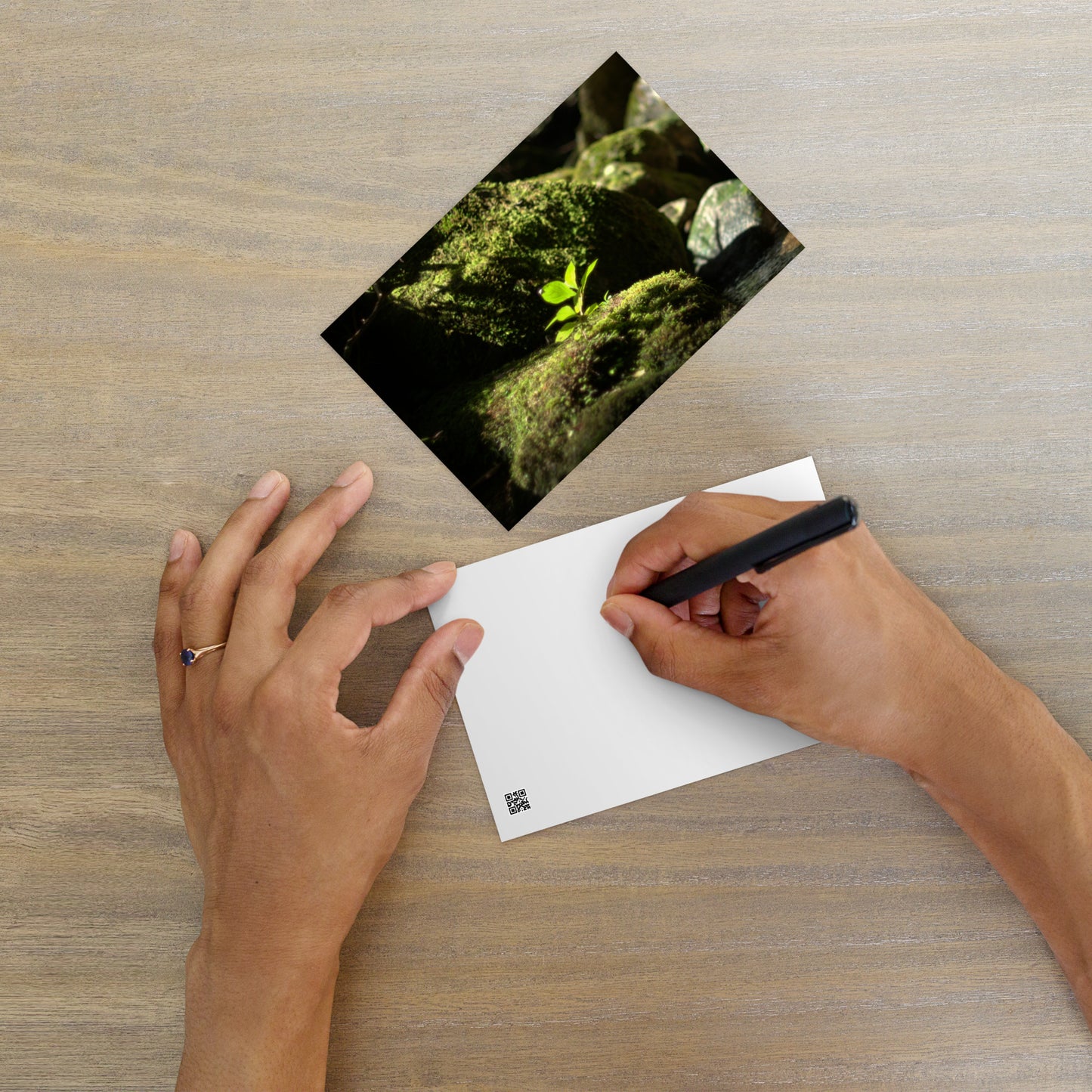 Plant on a Rock Art – Premium Matte Postcard, Front View