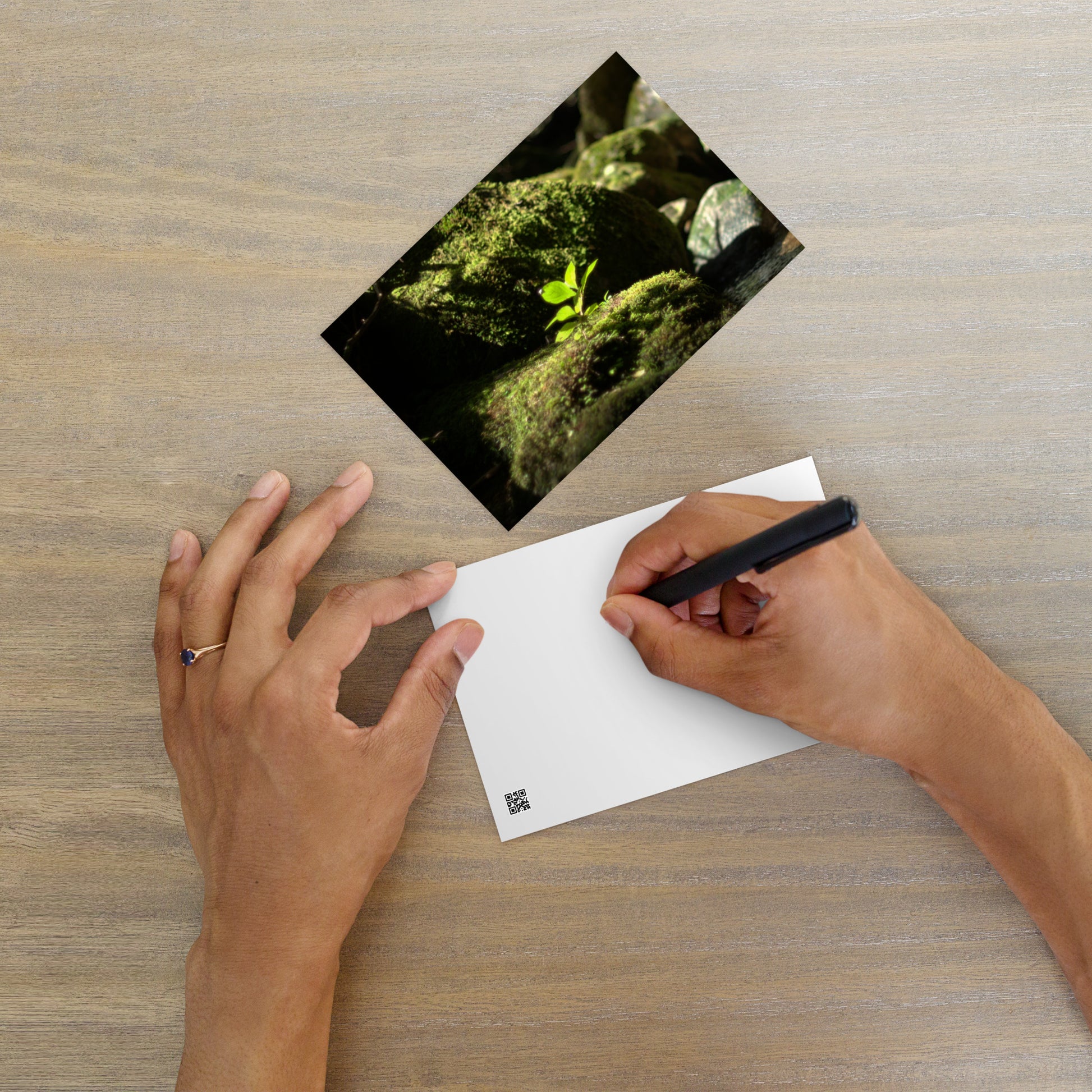 Plant on a Rock Art – Premium Matte Postcard, Front View