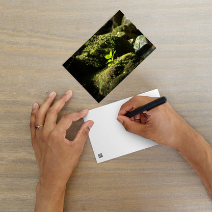 Plant on a Rock Art – Premium Matte Postcard, Front View