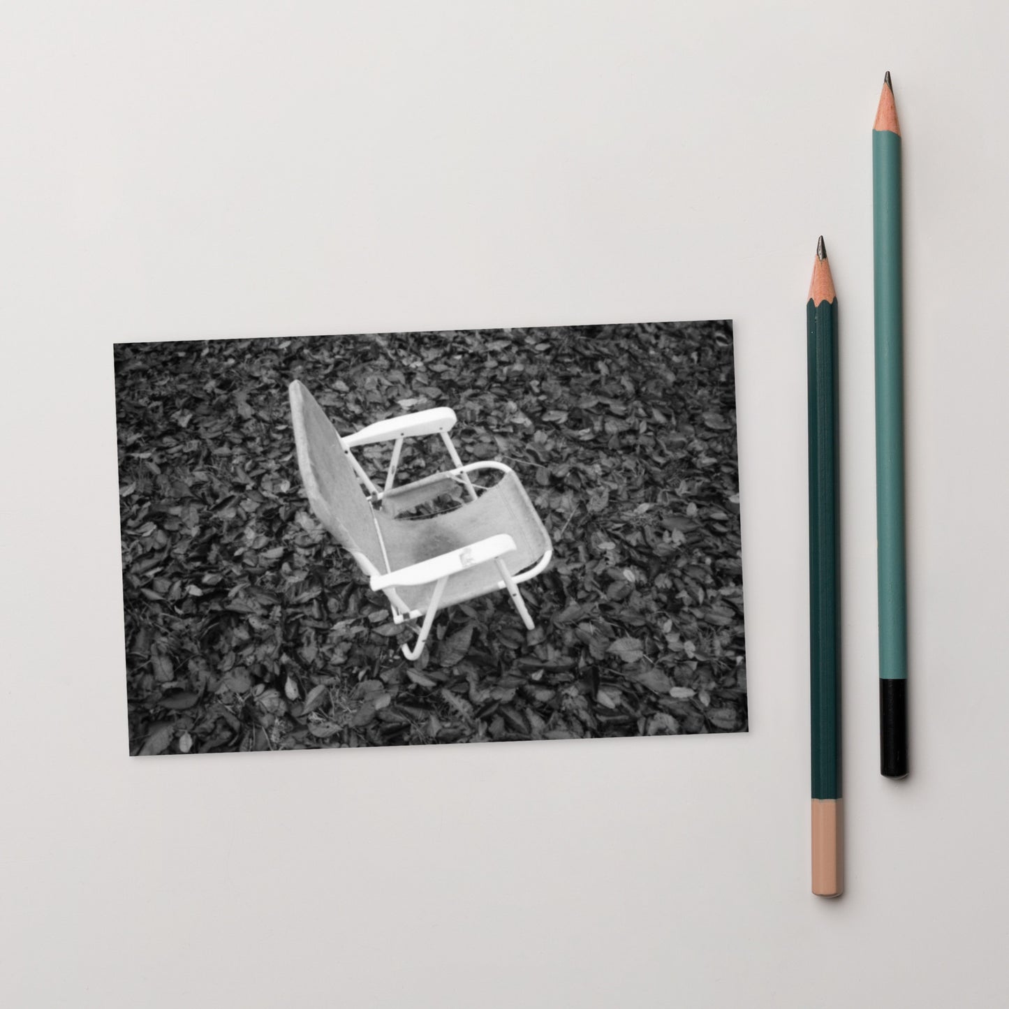 Fallen Leaves and Chair (B&W) Art – Premium Matte Postcard, Front View