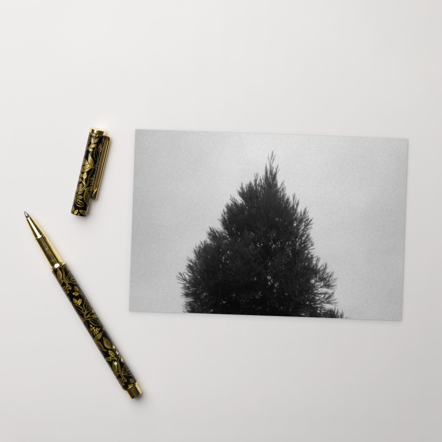 Fog and Trees (B&W) - Postcard, Front View
