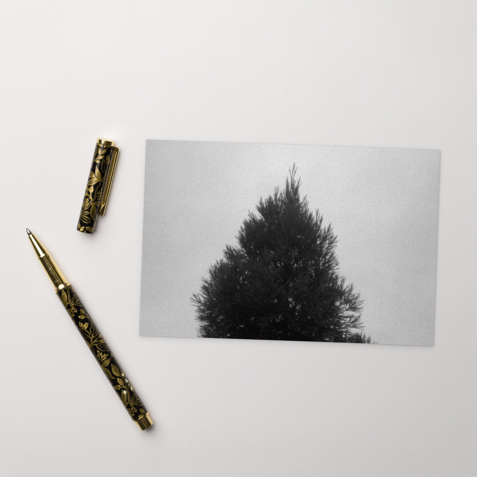 Fog and Trees (B&W) - Postcard, Front View