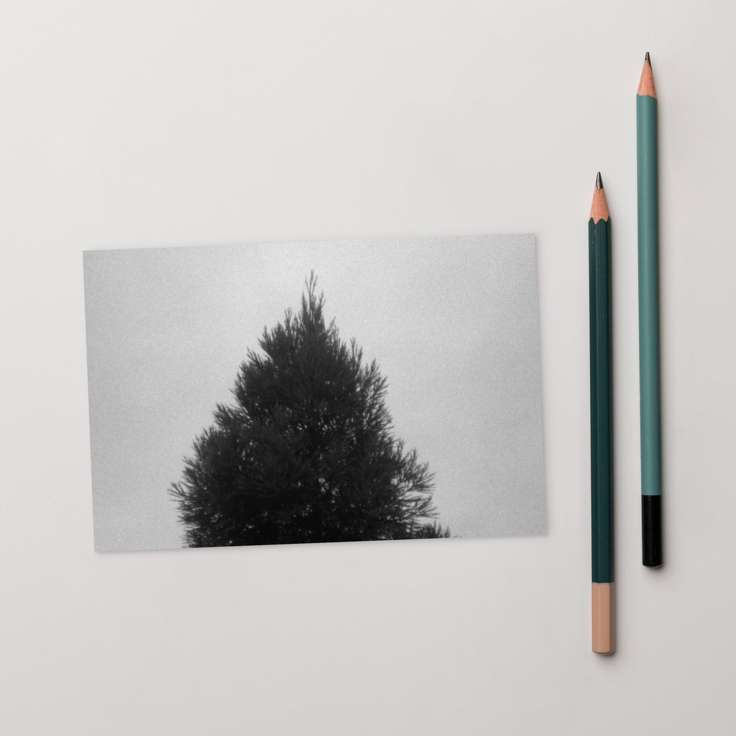 Fog and Trees (B&W) - Postcard, Front View