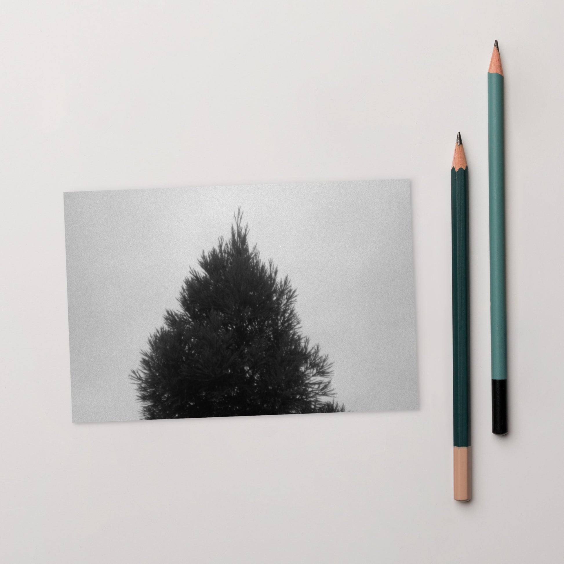Fog and Trees (B&W) - Postcard, Front View