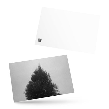 Fog and Trees (B&W) - Postcard, Front View