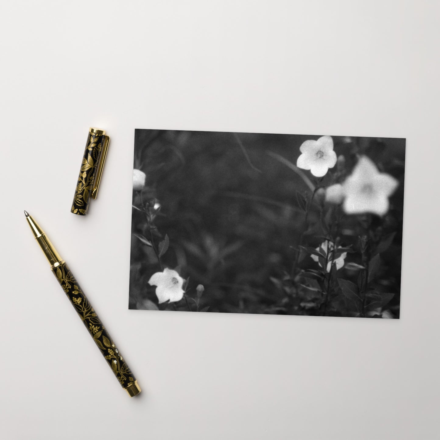 Balloon Flower (B&W) - Postcard, Front View