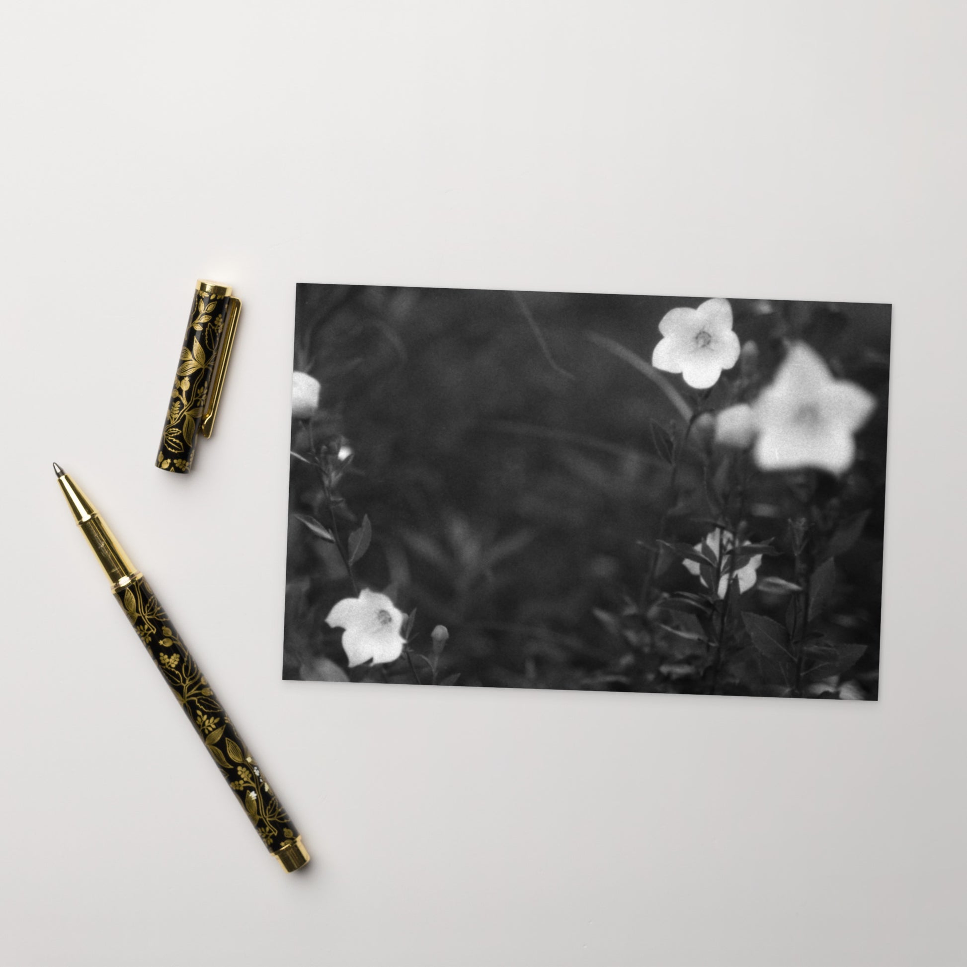 Balloon Flower (B&W) - Postcard, Front View