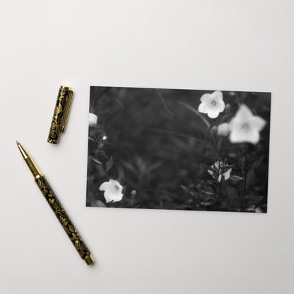 Balloon Flower (B&W) - Postcard, Front View