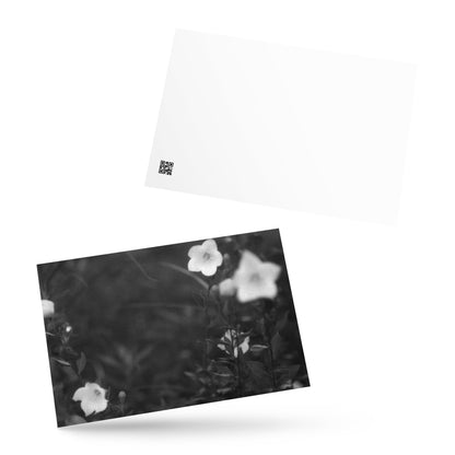 Balloon Flower (B&W) - Postcard, Front View