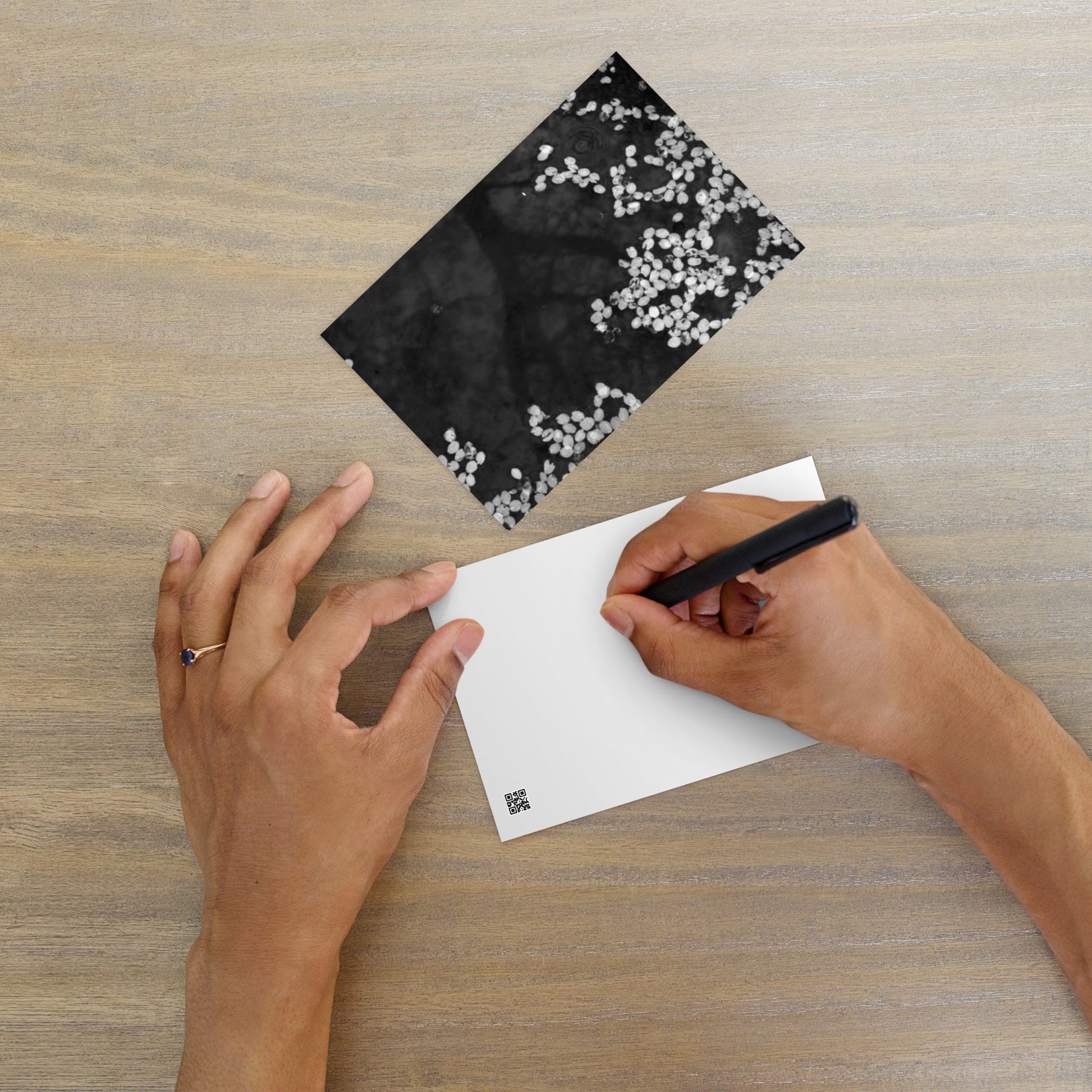 Cherry Blossom Petals on Water Surface (B&W) - Postcard, Front View
