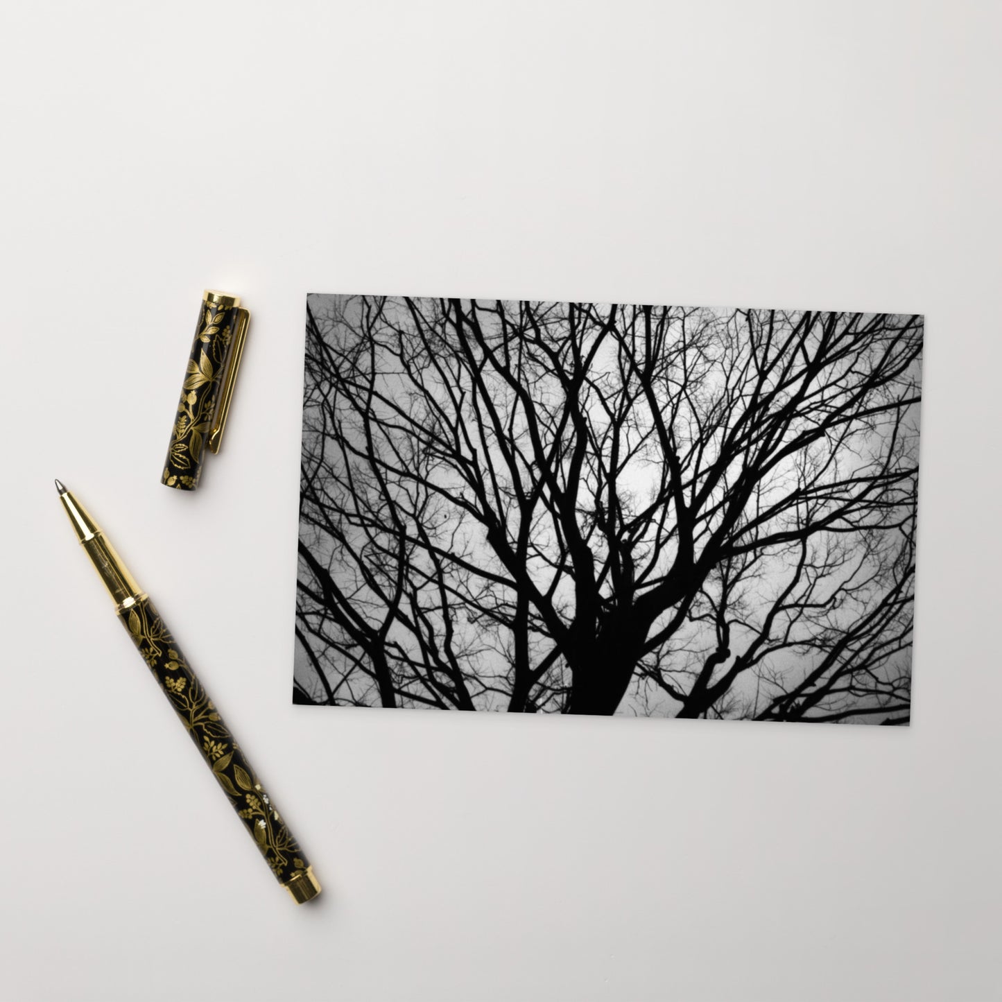 Tree B and W Postcard
