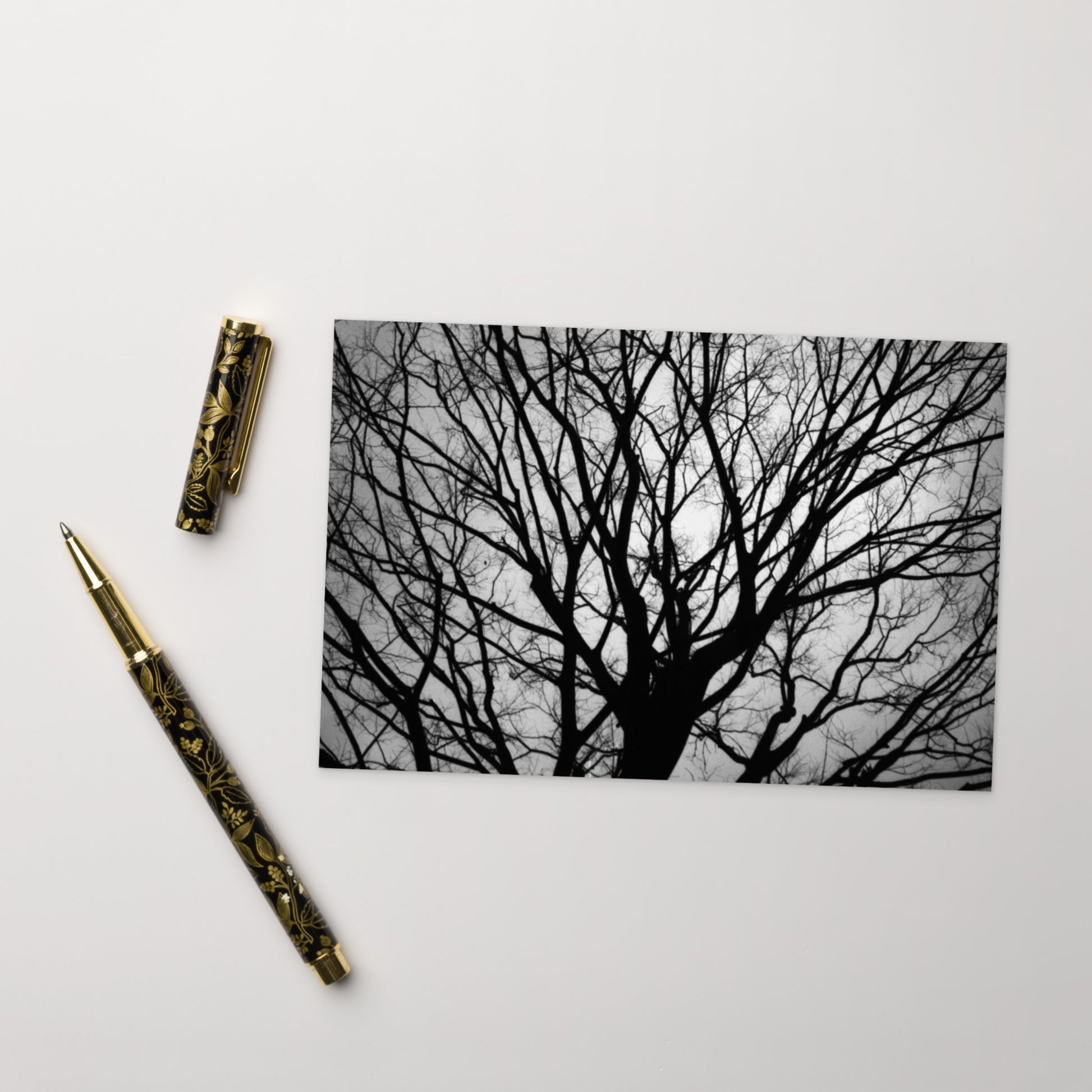 Tree B and W Postcard