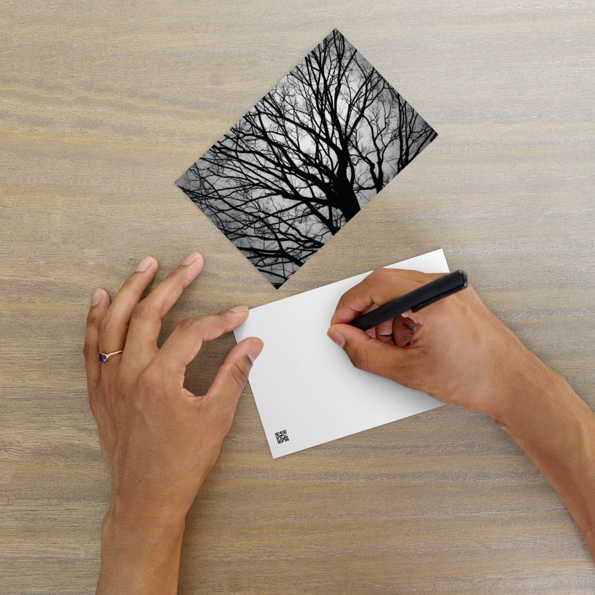 Tree B and W Postcard