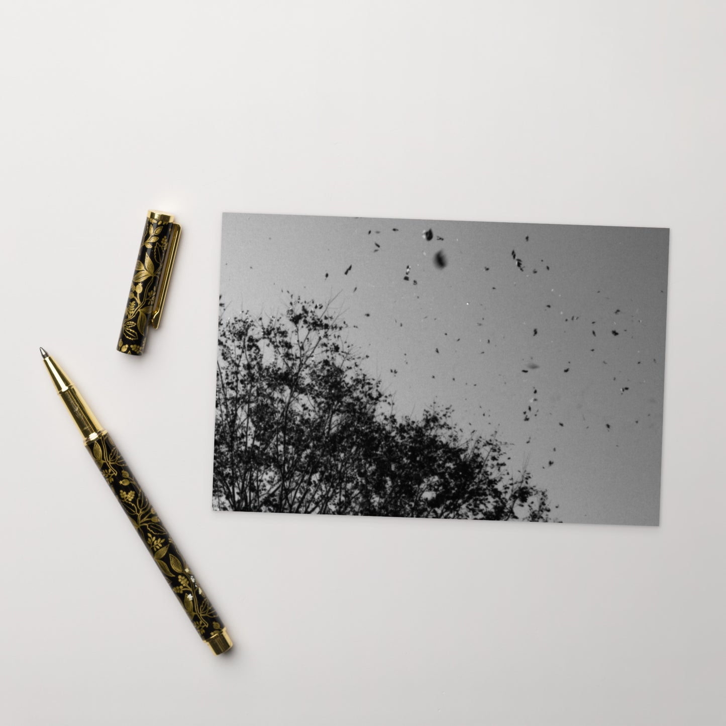 Leaves Dancing in Wind (B&W) - Postcard Front View