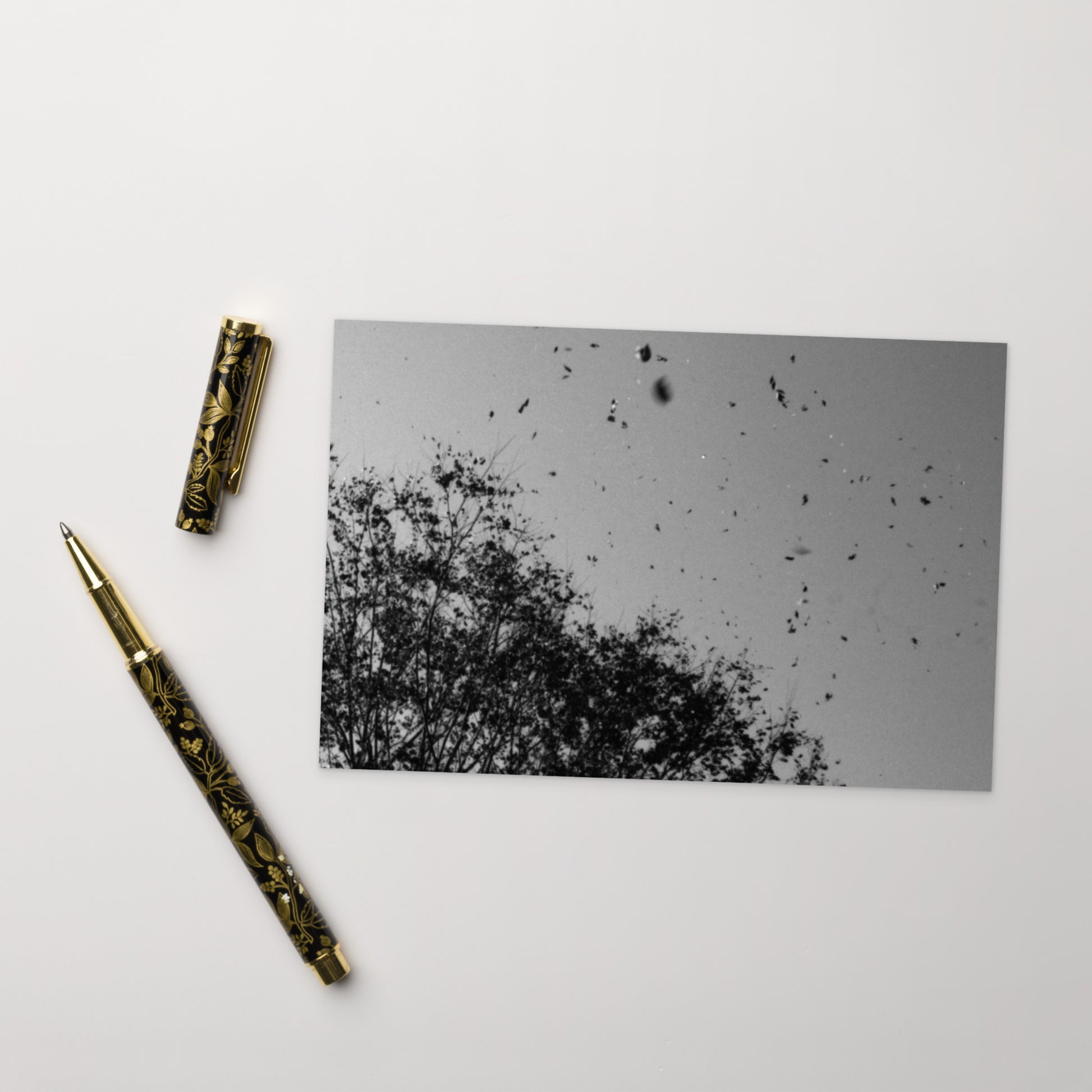 Leaves Dancing in Wind (B&W) - Postcard Front View