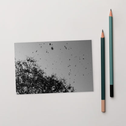 Leaves Dancing in Wind (B&W) - Postcard Front View
