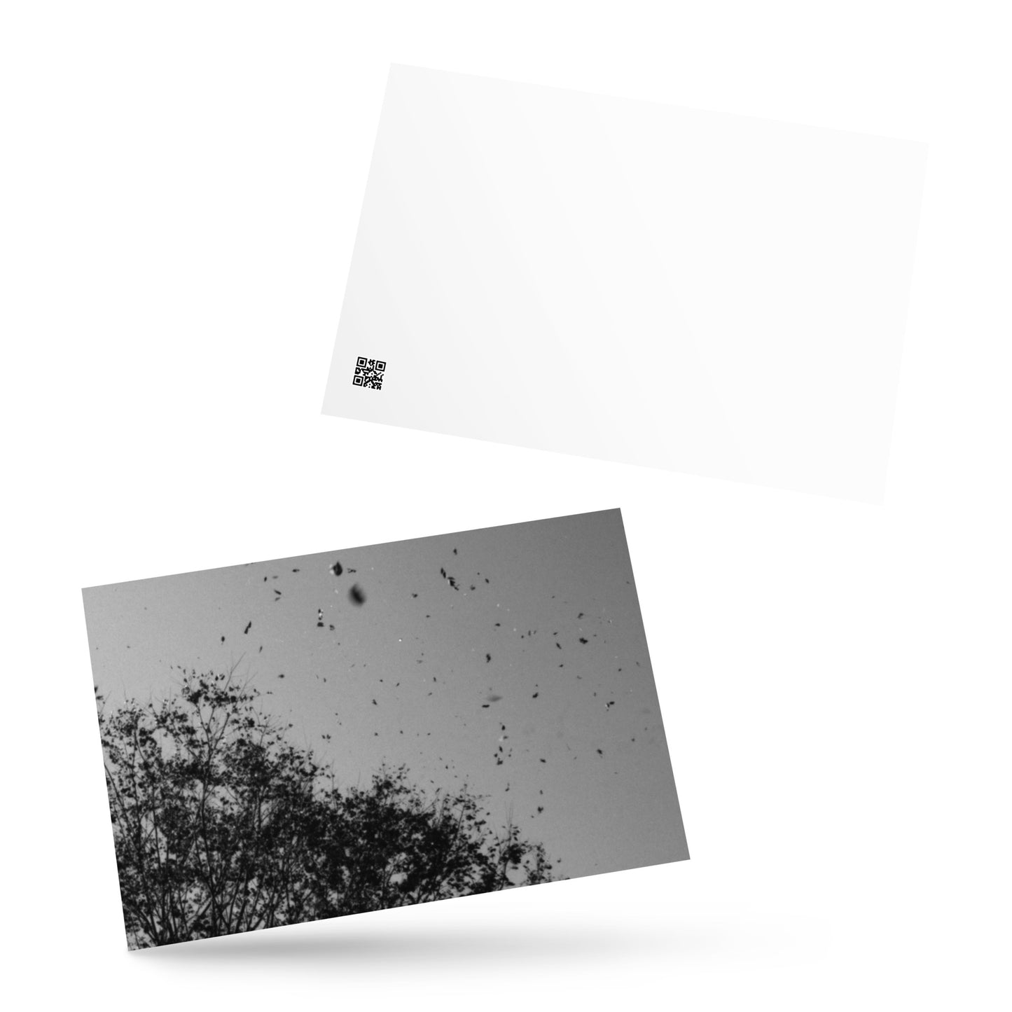 Leaves Dancing in Wind (B&W) - Postcard Front View