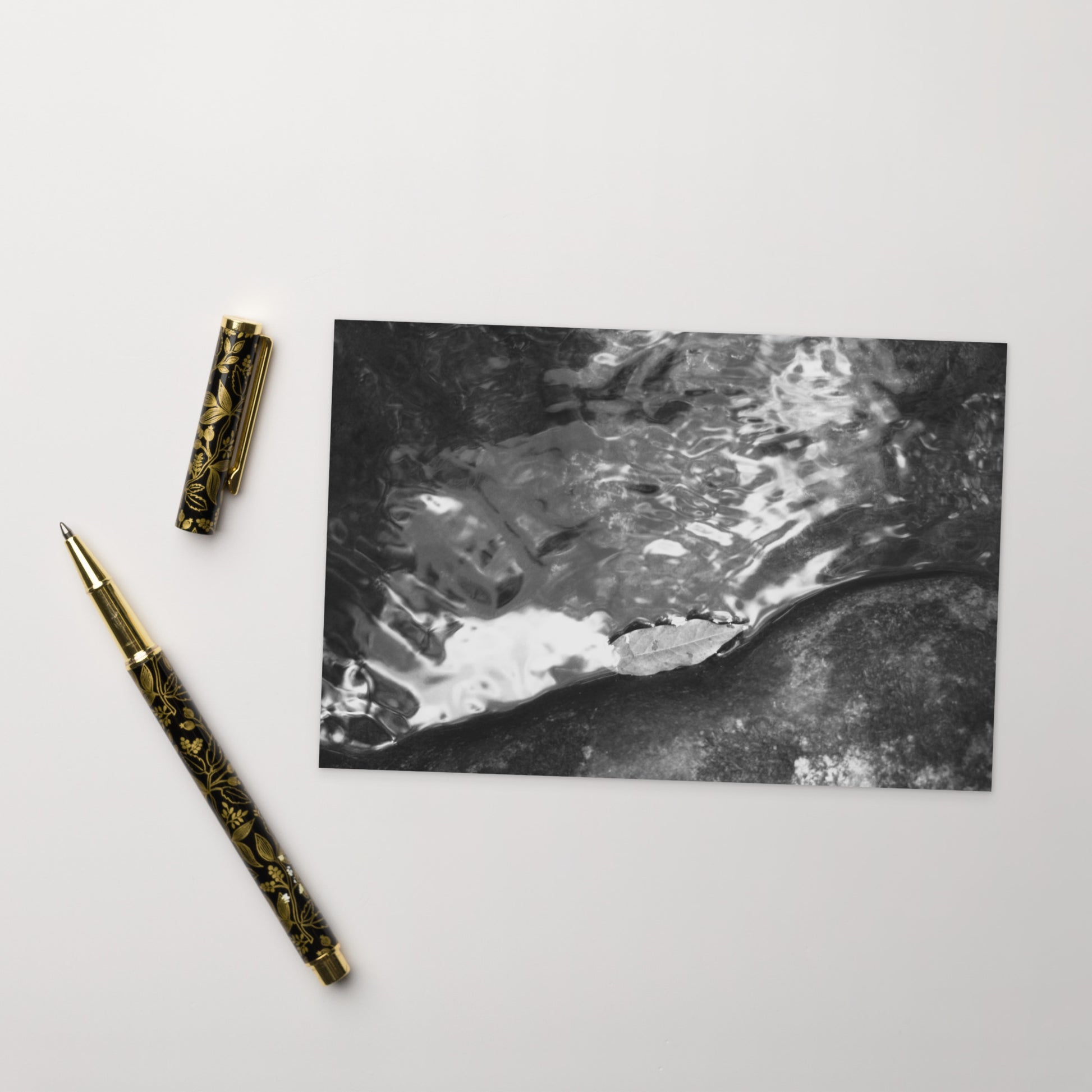 Drifted Leaf (B&W) - Postcard Front View