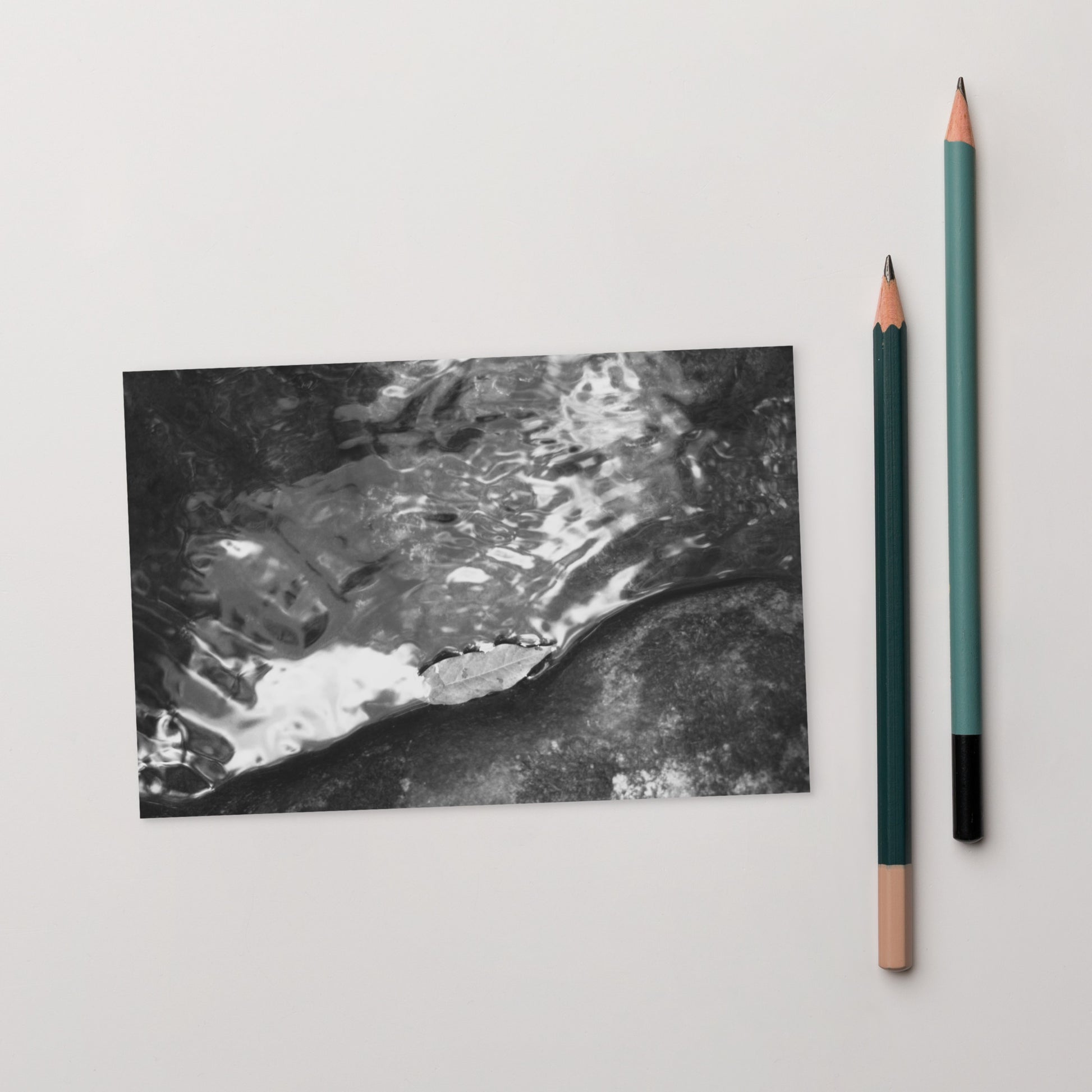 Drifted Leaf (B&W) - Postcard Front View