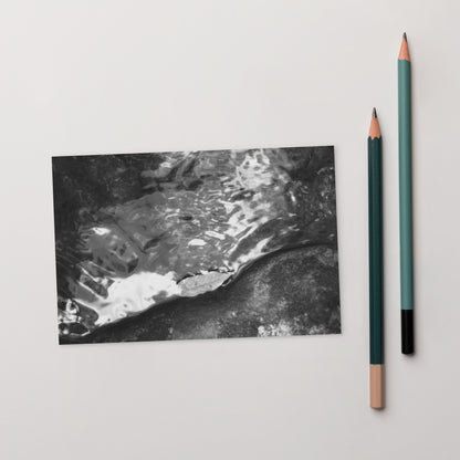 Drifted Leaf (B&W) - Postcard Front View
