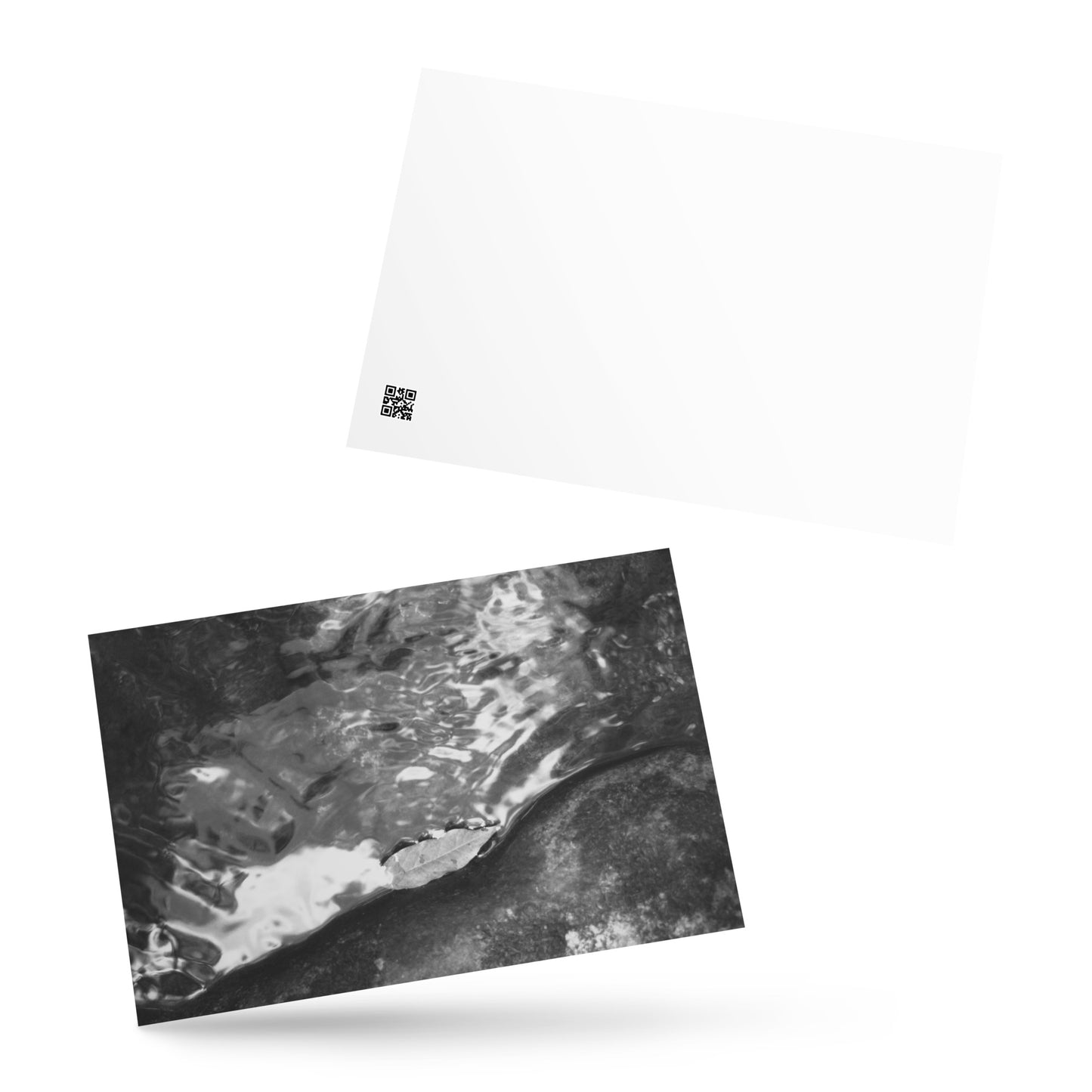 Drifted Leaf (B&W) - Postcard Front View