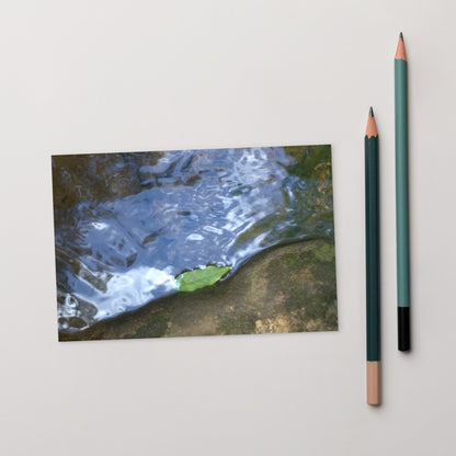 Drifted Leaf - Postcard front view