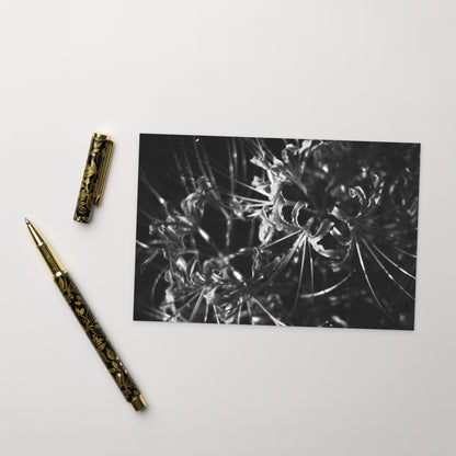 Red Spider Lily (B&W) Postcard, front view
