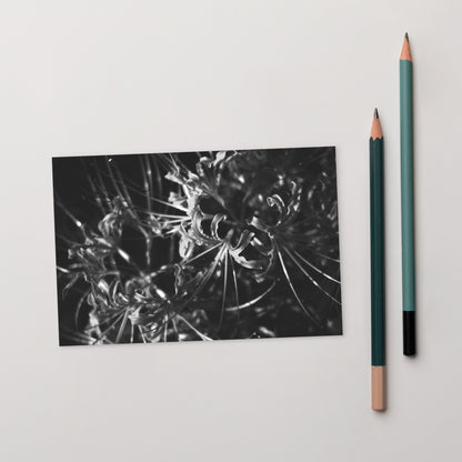 Red Spider Lily (B&W) Postcard, front view