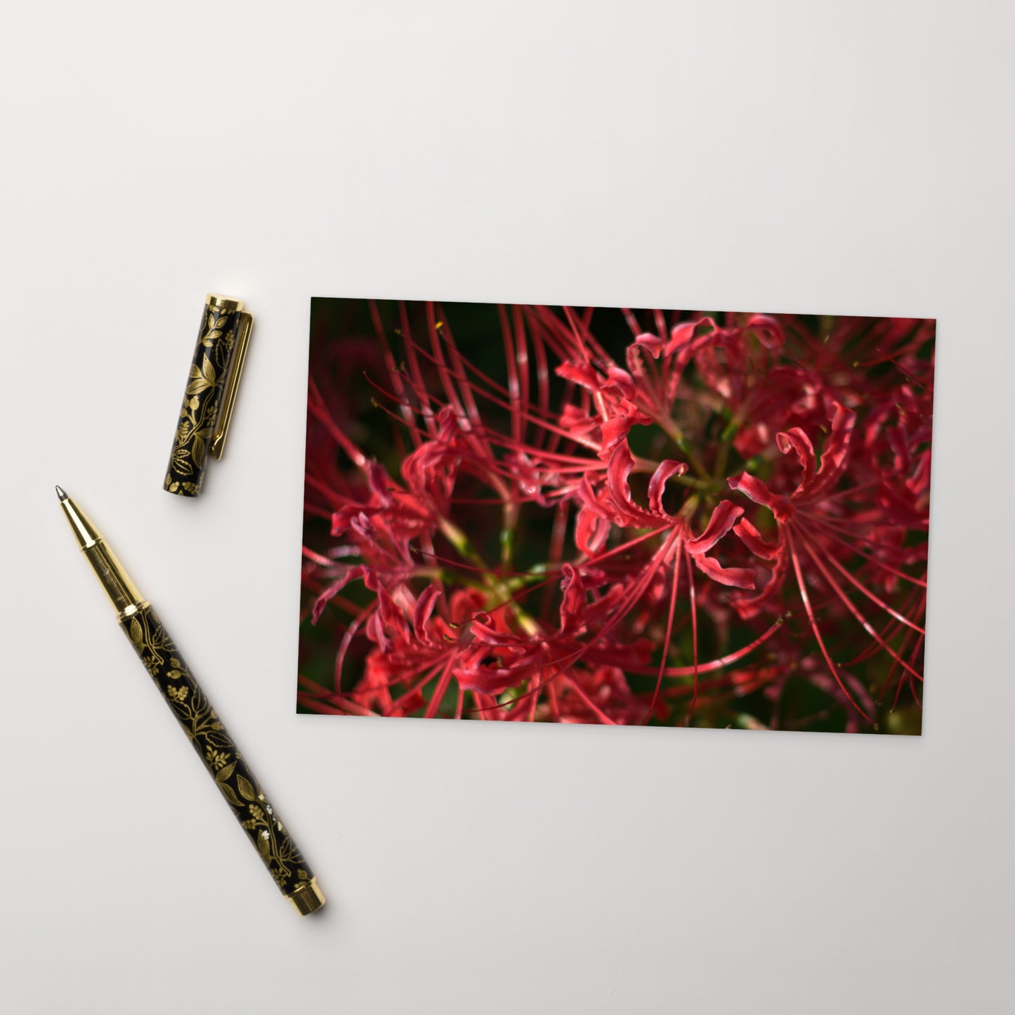 Red Spider Lily framed matte paper poster, white frame
