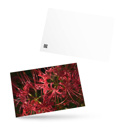 Red Spider Lily framed matte paper poster, white frame