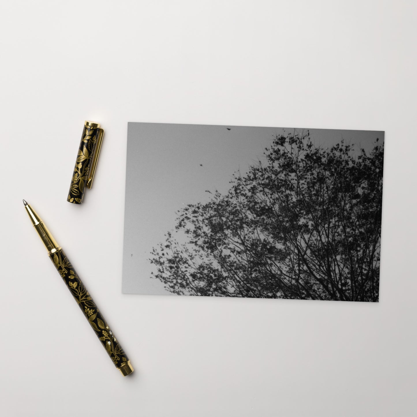 Minimalist mode style postcard featuring a 'Tree and Wind' black and white photo print / モードストリート系デザインのポストカード、「木と風」のモノクロ写真プリント（ポストカード）