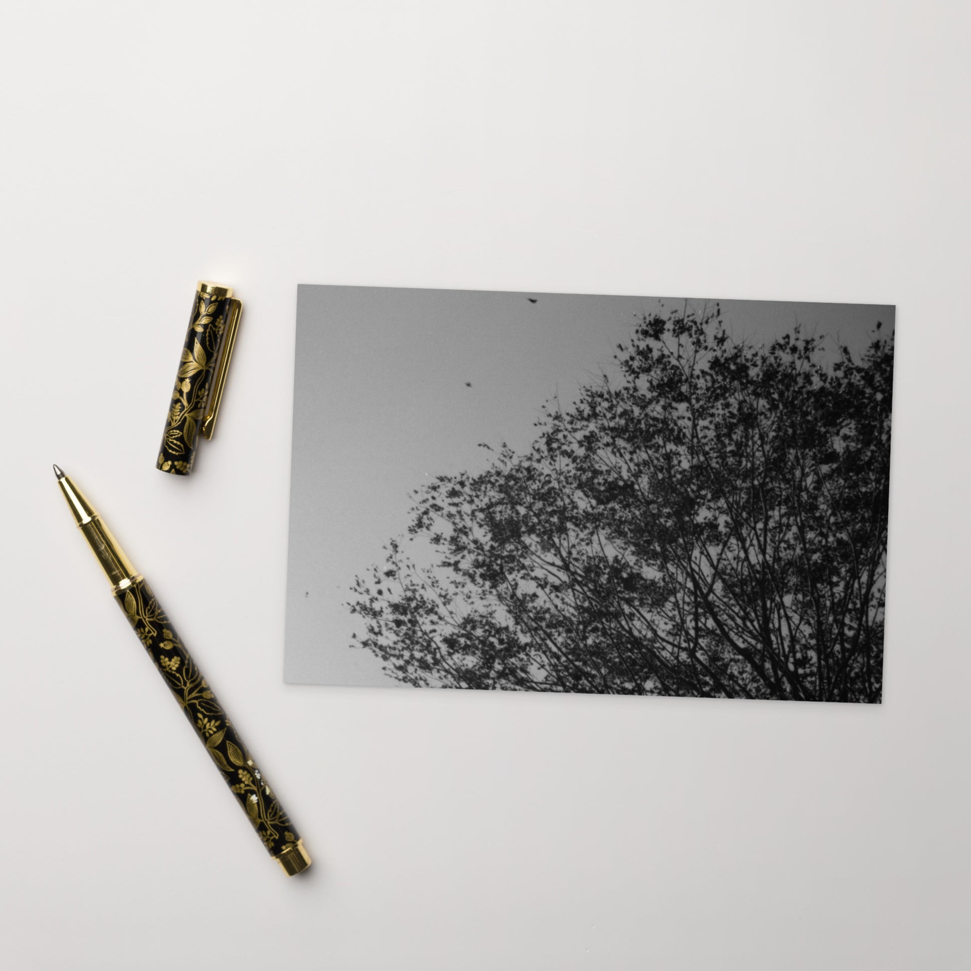 Minimalist mode style postcard featuring a 'Tree and Wind' black and white photo print / モードストリート系デザインのポストカード、「木と風」のモノクロ写真プリント（ポストカード）