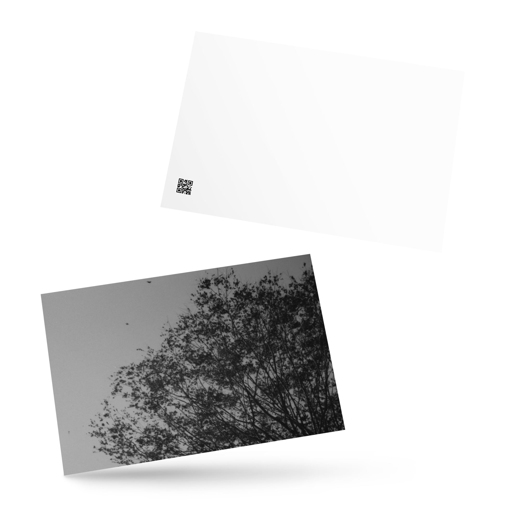 Minimalist mode style postcard featuring a 'Tree and Wind' black and white photo print / モードストリート系デザインのポストカード、「木と風」のモノクロ写真プリント（ポストカード）