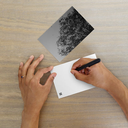 Minimalist mode style postcard featuring a 'Tree and Wind' black and white photo print / モードストリート系デザインのポストカード、「木と風」のモノクロ写真プリント（ポストカード）