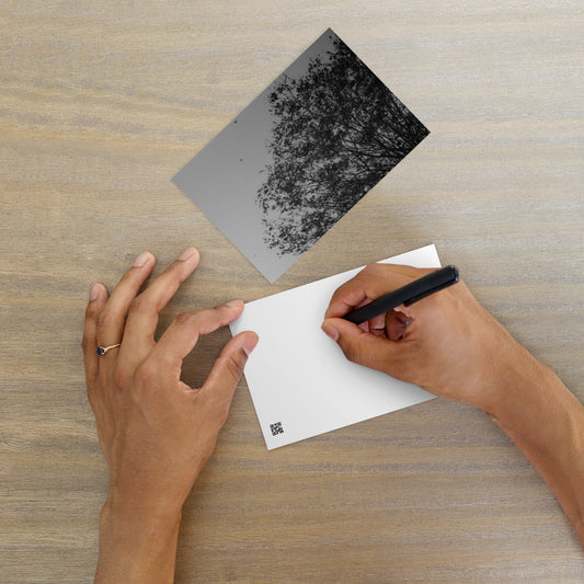 Minimalist mode style postcard featuring a 'Tree and Wind' black and white photo print / モードストリート系デザインのポストカード、「木と風」のモノクロ写真プリント（ポストカード）
