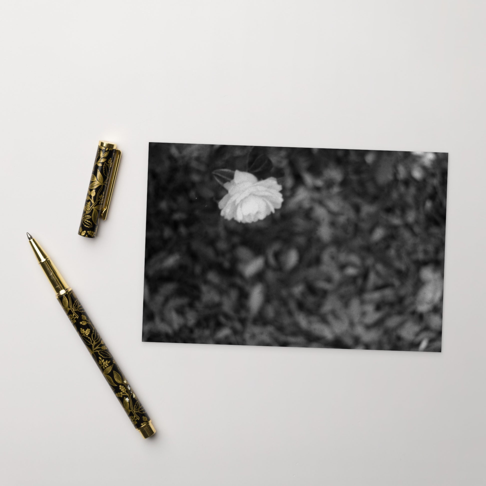 Minimalist mode style postcard featuring a 'Camellia Flower' black and white photo print / モードストリート系デザインのポストカード、「カメリア（椿）」のモノクロ写真プリント（アートカード）